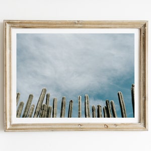 Cactus Sky, Mexican Art, Mexico Photography, Minimalist, Folk Art
