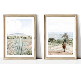 Oaxaca Agave Farm Photography Prints - Set of 2