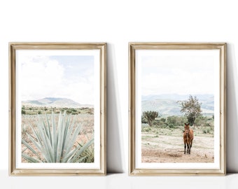 Valle de Oaxaca set of 2, Mexican Photography, Agave Plant, Mezcal, Mexican Folk Art, Oaxaca, Maguey