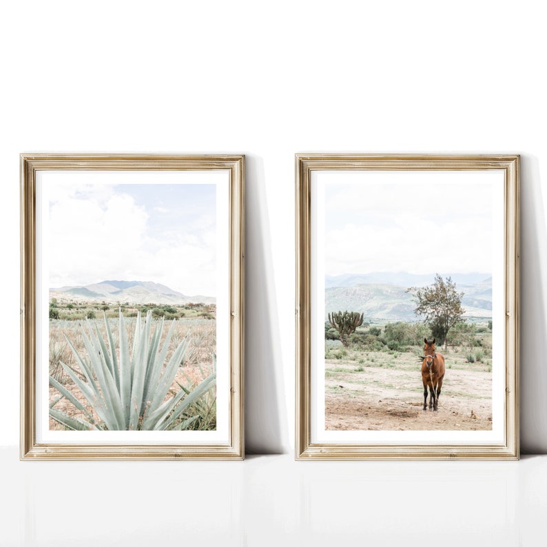 Valle de Oaxaca set of 2, Mexican Photography, Agave Plant, Mezcal, Mexican Folk Art, Oaxaca, Maguey image 1