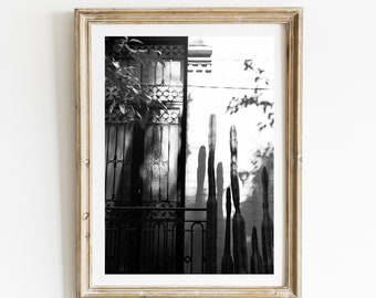 Otro Atardecer, Cactus, Mexican Photography, Black and White, Mexico City, CDMX, Mexico