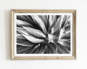 Mexican Photography, Agave Plant, Mexican Folk Art, Oaxaca, Black & White