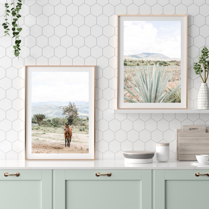 Valle de Oaxaca set of 2, Mexican Photography, Agave Plant, Mezcal, Mexican Folk Art, Oaxaca, Maguey image 3