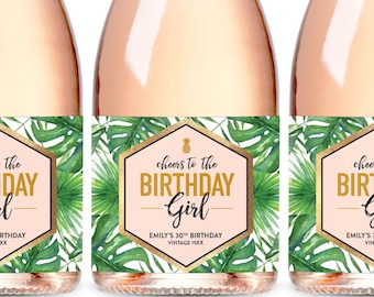 Birthday Mini Champagne Labels, Dirty Thirty Mini Wine Label, 21st 30th 40th 50th Milestone Birthday Gift, 30th Birthday Mini Wine Labels