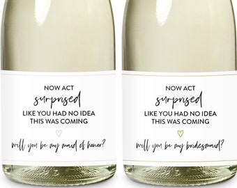 Bridesmaid Proposal Mini Champagne Bottle Labels, Will You Be My Bridesmaid Mini Wine, Now Act Surprised Bridesmaid Proposal, Bridesmaid Box