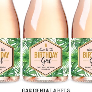 Birthday Mini Champagne Labels, Dirty Thirty Mini Wine Label, 21st 30th 40th 50th Milestone Birthday Gift, 30th Birthday Mini Wine Labels