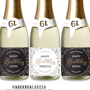 Birthday Mini Champagne Labels, Dirty Thirty Party Favor, 21st 30th 40th 50th 60th Milestone Birthday Gift, 40th Birthday Mini Wine Labels