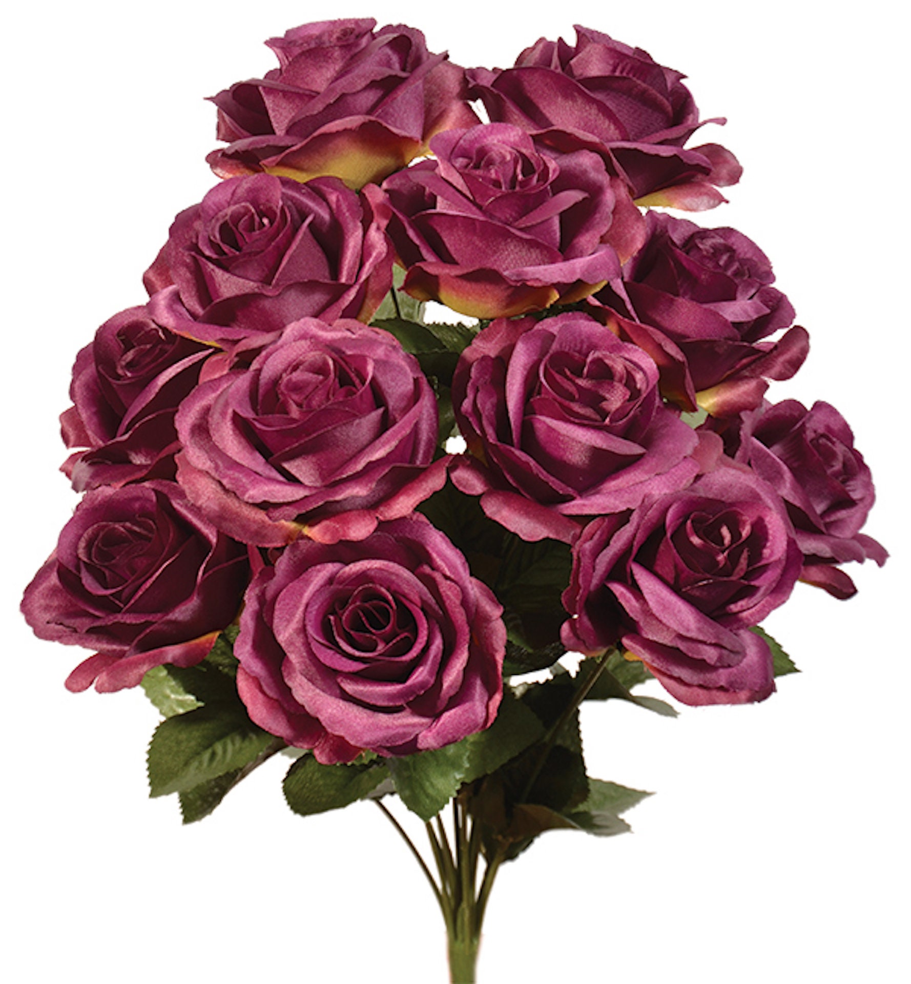 New Silk Eggplant Rose Bush 12 Eggplant Roses Etsy