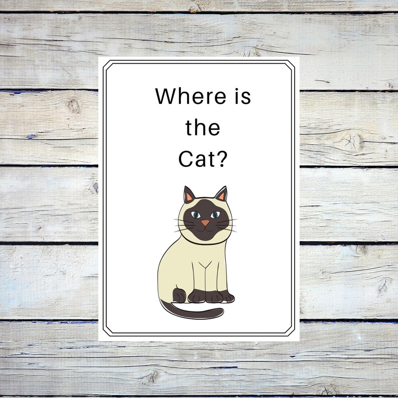 Preposition Printable Flashcards Esl Teaching Aids Instant Etsy