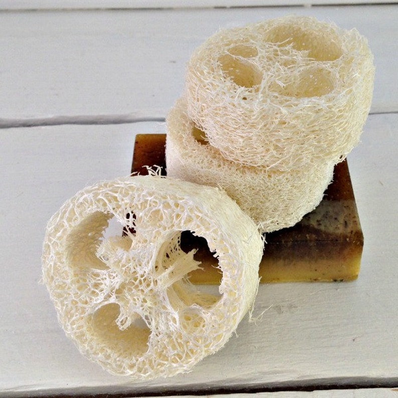 Natural Loofah Exfoliating Loofah Facial Loofah Loofah Etsy