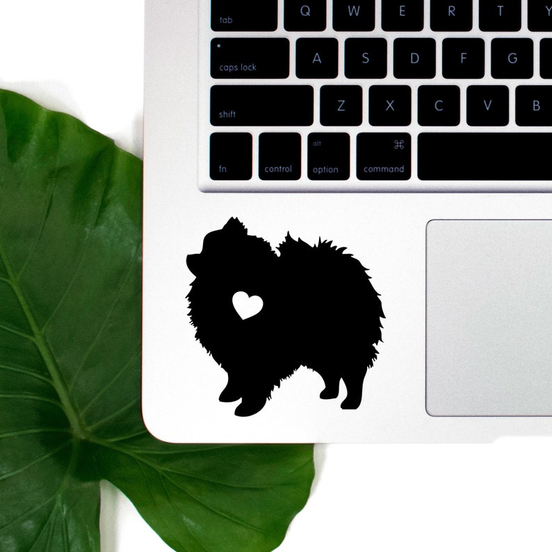 Pomeranian Vinyl Decal, Best Friend Gift, Cute Stickers, Dog Stickers, Pet Stickers, Laptop Stickers, MacBook Decal, Water Bottle Sticker image 1