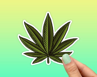 MacBook Pro 2017 Cover Marijuana Leaves Cannabis On Dark Hard Laptop Cases Hard Shell Mac Air 11/13 Pro 13/15/16 with Notebook Sleeve Bag for MacBook 2008-2020 Version MacBook Pro 2017 Cover Marijuana Leaves Cannabis On Dark Hard Laptop Cases Hard Shell Mac Air 11/13 Pro 13/15/16 with Notebook Sleeve Bag for MacBook 2008-2020 Version