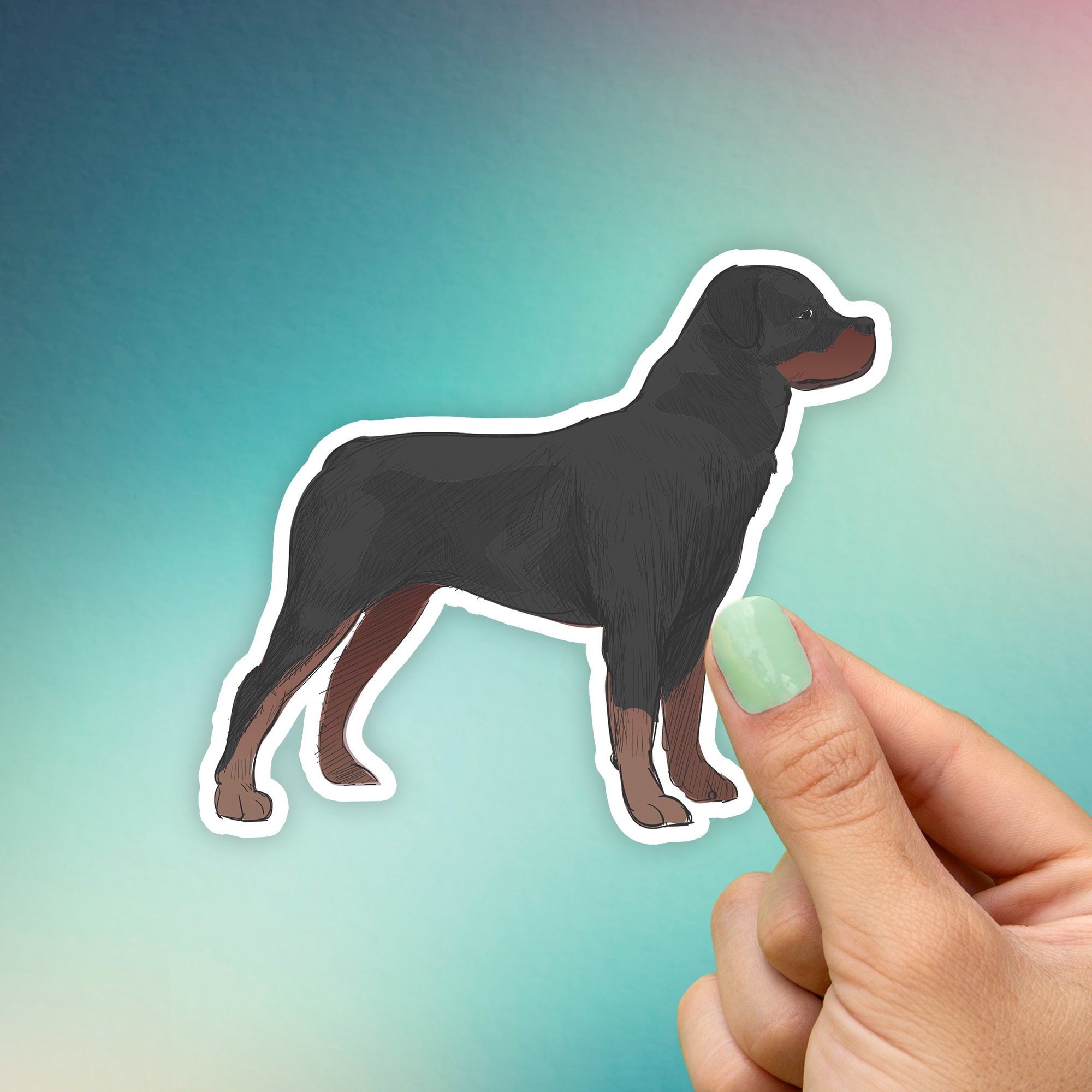 Are Rottweilers Good Water Dogs