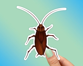 Cockroach Sticker, Best Friend Gift, Realistic Decals, Roach Stickers, Cute Stickers, Animal Decals, Macbook Decal, Laptop Stickers