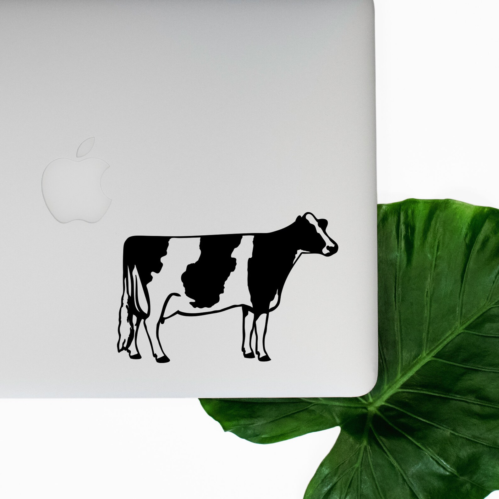 Cow Sticker National Cow Day Holstein Cow Sticker Farm Cow Etsy