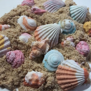 40 Edible Sea Shells - for cakes, cupcake toppers, cookies - Free shipping