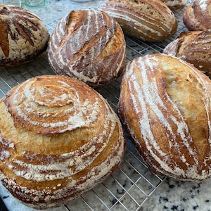 Sourdough Recipe and guidance, to help you bake a better loaf!