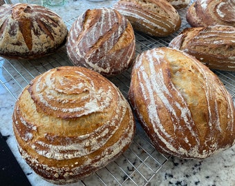 Sauerteig Rezept und Anleitung, damit Sie ein besseres Brot backen!