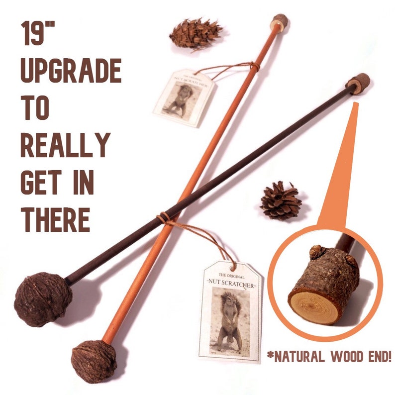 NUT SCRATCHER Novelty Wooden Back Scratcher for Men Funny Etsy