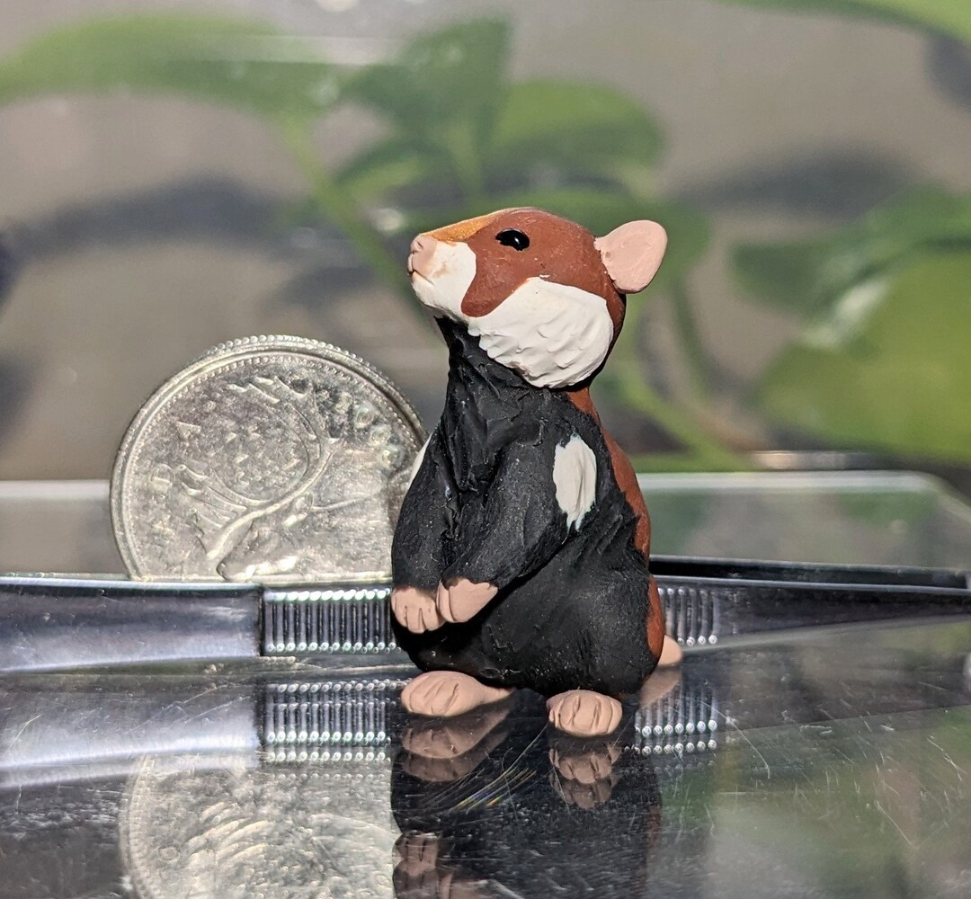 OOAK Wild Hamster Figurine Polymer Clay Cute Handmade Wildlife Etsy