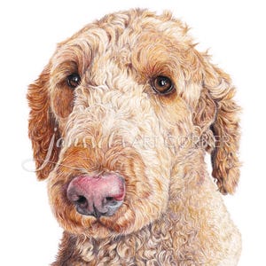 Custom Colored Pencil Hand Drawing Pet Portrait Commissioned