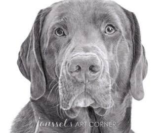 Custom Pencil/Graphite Hand Drawing Pet Portrait Commissioned