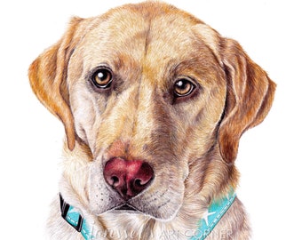 Custom Colored Pencil Hand Drawing Pet Portrait Commissioned