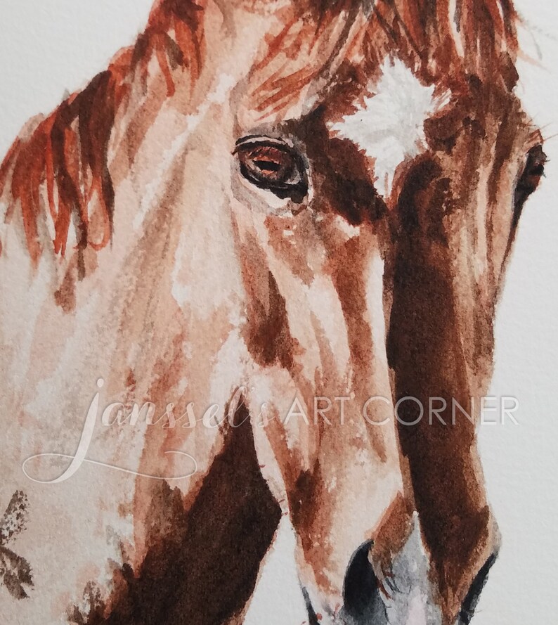 Horse Wall Art 8x10 Animal Pinto Horse Watercolor Painting Animal ART PRINT