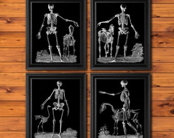 Goth Decor set of 4 unframed Skeleton Art Black and White Prints Skeleton_BW4B