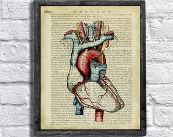 Heart Anatomy Art - Human Heart Drawing Vintage Anatomy Textbook Page Collage Art - Anatomy Print - Anatomy poster