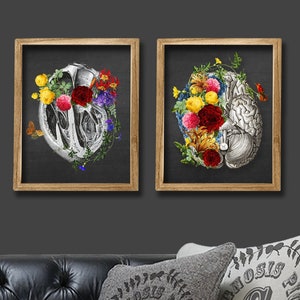 Anatomical Heart Brain Floral Anatomy Artwork set of 2 Unframed Doctor Office Decor Gift