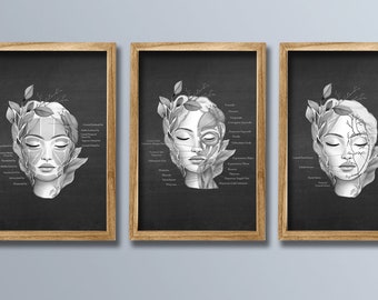 Facial Anatomy Art set of 3 Unframed Art Prints Spa Clinic Decor, Esthetician Decor, Dermatology Decor