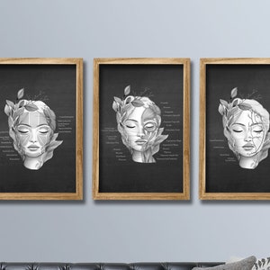 Facial Anatomy Art set of 3 Unframed Art Prints Spa Clinic Decor, Esthetician Decor, Dermatology Decor