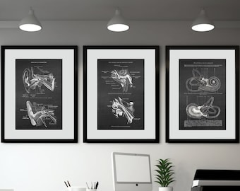 Set di decorazioni da parete per ufficio medico, anatomia dell'orecchio, audiologo, di 3 stampe artistiche senza cornice