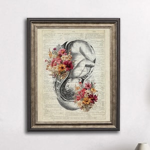 Impresión de arte de anatomía de obstetricia del embarazo con fondo de imagen de página de diccionario vintage Regalo de decoración de pared OBGYN