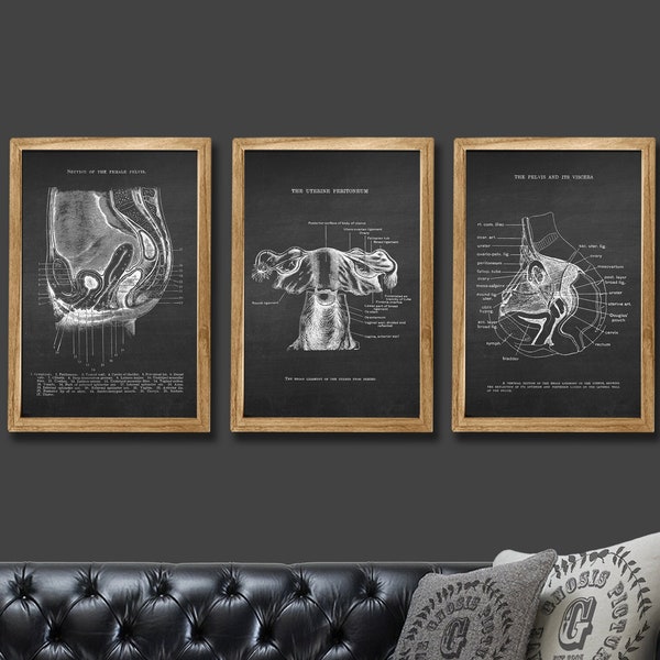 Uterus Anatomy Print, Female Reproductive System, Uterus Art, OBGYN Gift, Midwife Gift, Gynecologist Gift, Midwife, Doula, Floral Uterus Art