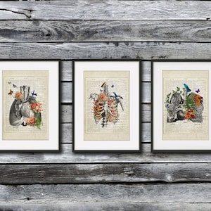 Lungs Art Flower Anatomy Unframed Prints set of 3, Respiratory Therapist gift, Pulmonologist Gift Idea, Medical Wall Decor