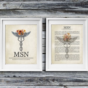 MSN Master of Science in Nursing Office Wall Decor Zestaw upominkowy na ukończenie studiów, 2 sztuki
