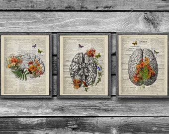 Brain Anatomy Flower Prints Set, Vintage Medical Art