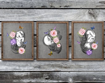 OBGYN Obstetrics Anatomy Floral Art set of 3 Unframed Decor Art Prints