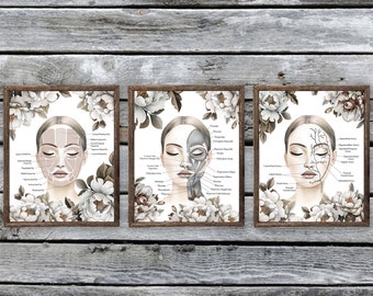 Láminas artísticas de anatomía facial, decoración para clínicas de estética y spa, juego de 3
