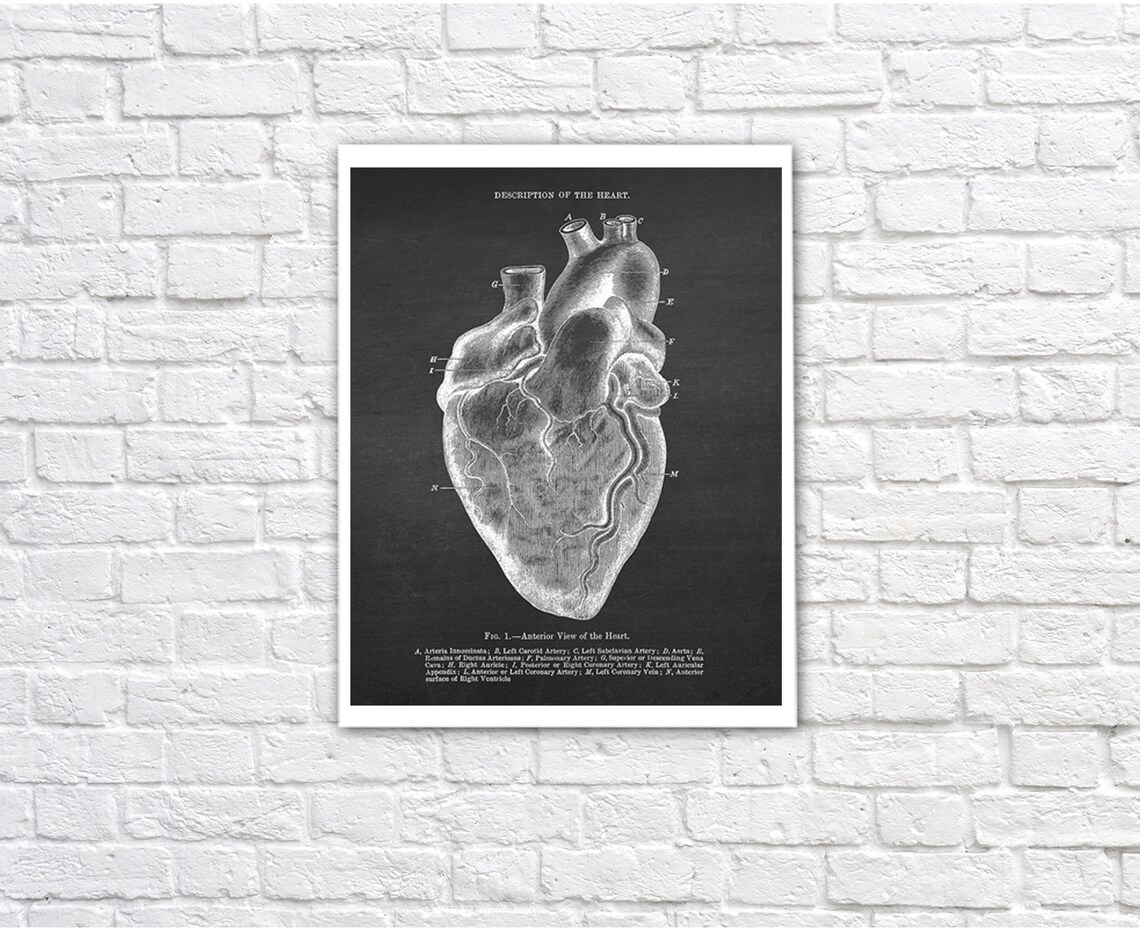 Anatomy of Human Heart Set of 6 Unframed Decor Art Prints Gift for ...