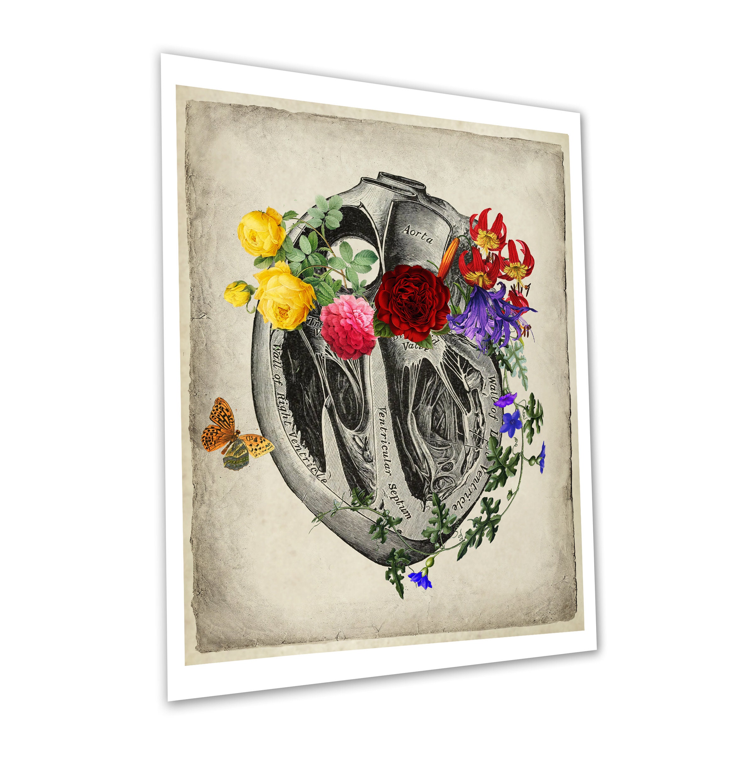 Floral Heart Anatomy Print, Vintage Medical Decor - Etsy