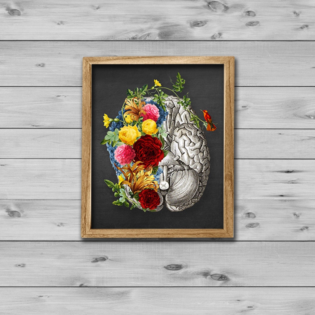 Anatomy Brain Art With Flowers Wall Decor Print Gift for Women MD ...