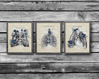 Lungs Anatomy Art Prints Set – Blue Floral Medical Decor