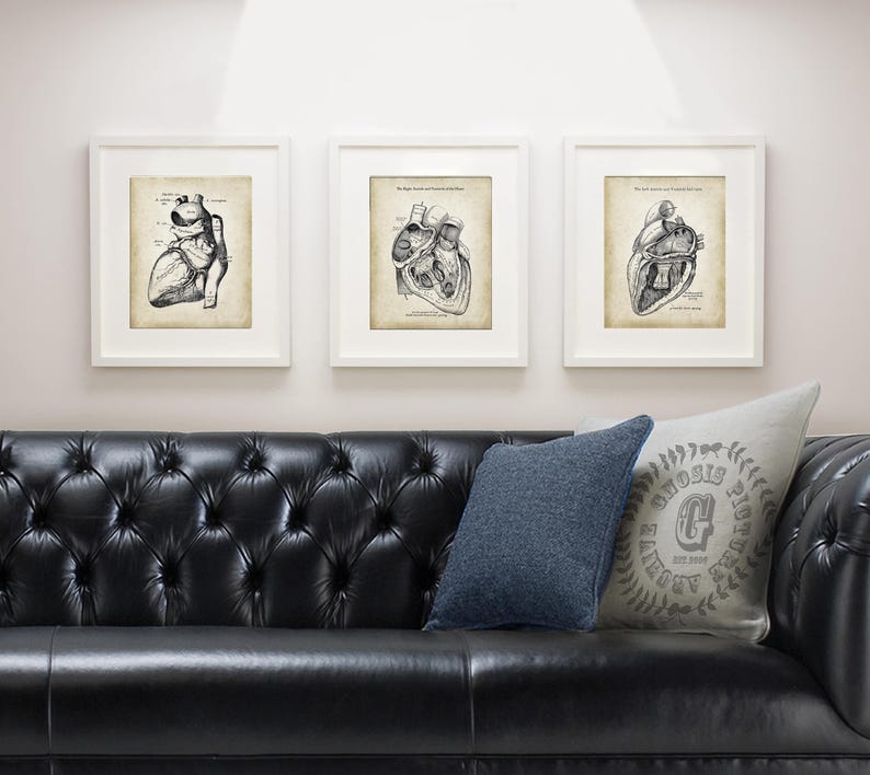 Vintage Heart Anatomy Art Prints – Set of 3, Cardiology Decor - Etsy