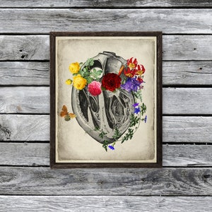 Floral Heart Anatomy Print, Vintage Medical Decor - Etsy