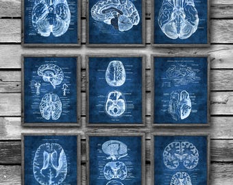 Brain Art Anatomy Set of 9 Unframed Prints Psychologist Neurologist Neuro Surgeon Decor Gift