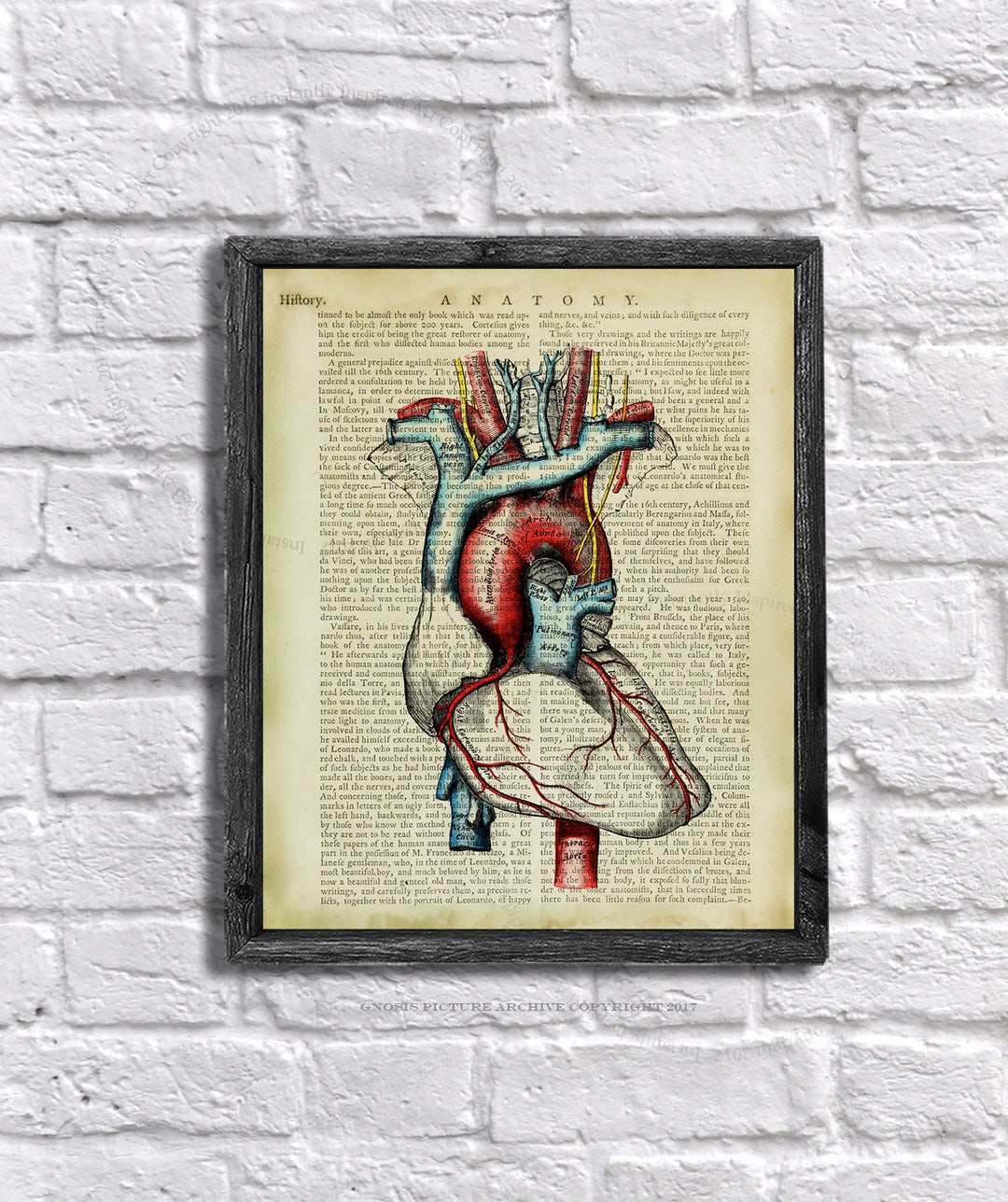 Heart Anatomy Art - Human Heart Drawing Vintage Anatomy Textbook Page ...