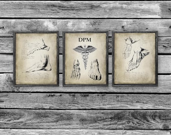 Stampe artistiche di anatomia del piede (set di 3) - Decorazione clinica podologica